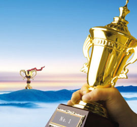 資質(zhì)榮譽(yù) 資質(zhì)榮譽(yù)